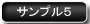 sample05